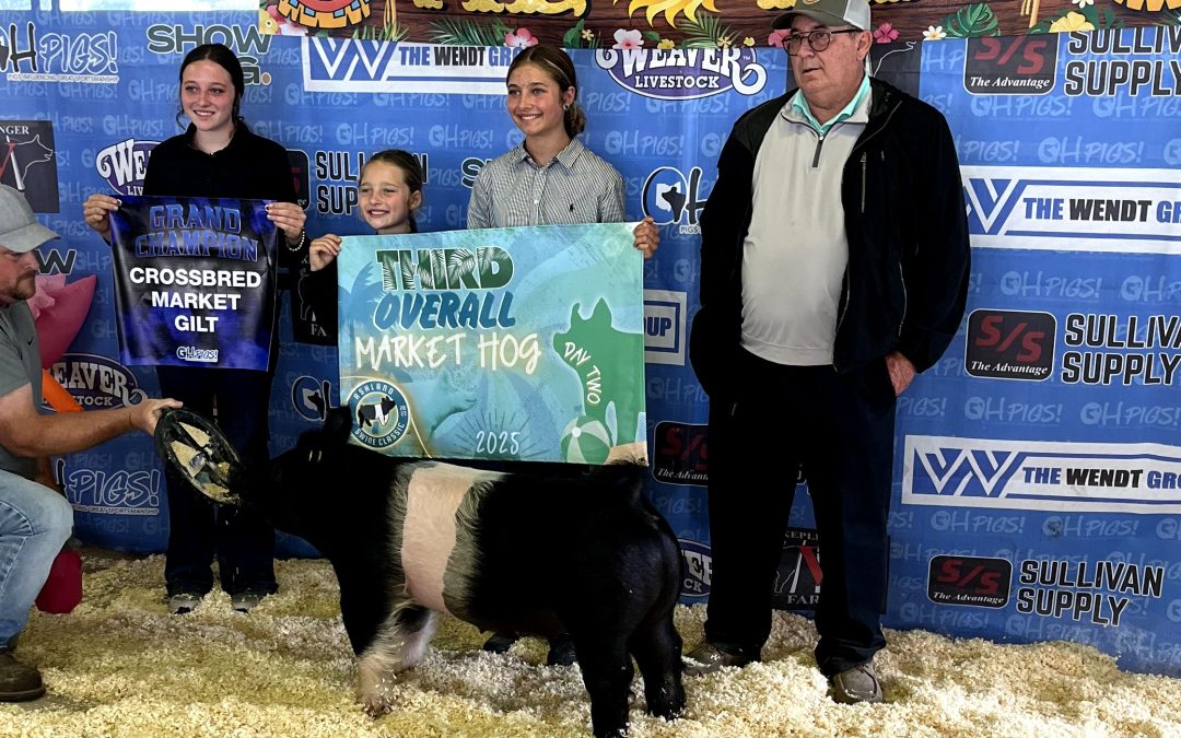 GRAND MARKET GILT & 3RD OVERALL MARKET HOG, 2025 Ashland Swine Classic, OH