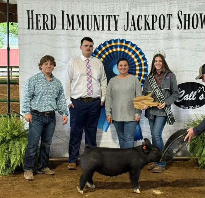 GRAND CHAMPION MARKET HOG, 2025 Herd Immunity Jackpot, WV