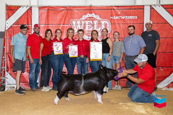 3RD OVERALL – 2025 Weld County Fair, CO