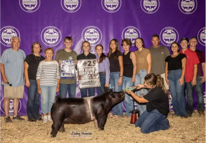 3RD OVERALL D3 CROSS GILT, 2025 MLE