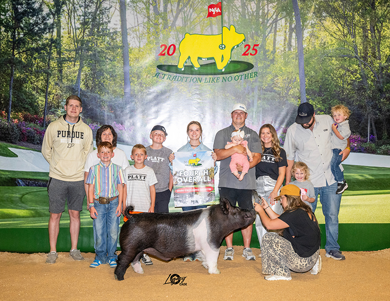 4TH OVERALL DARK CROSS BARROW, 2025 NJSA Summer Type Conference, KY
