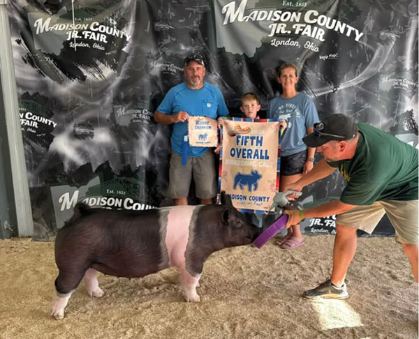 5TH OVERALL BREEDING GILT, 2025 Madison County Fair, OH