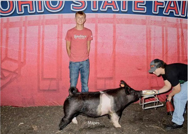 CLASS WINNER, CROSSBRED MARKET GILT – 2025 Ohio State Fair