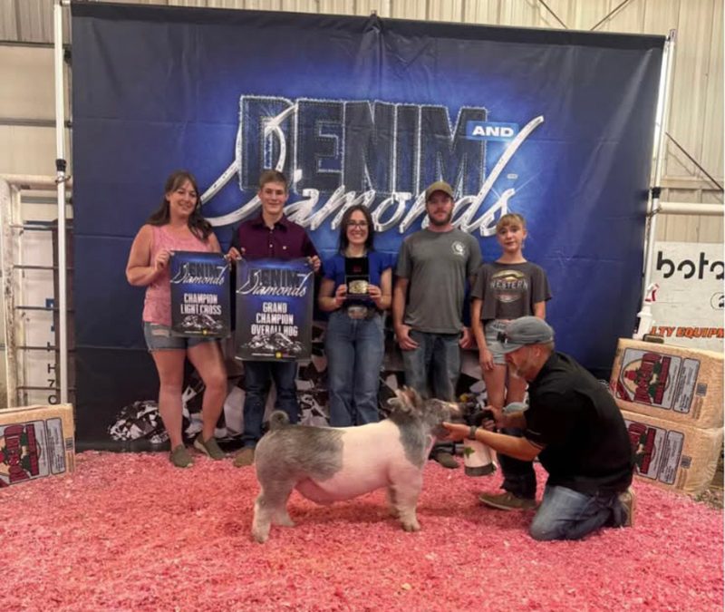 GRAND CHAMPION HOG, 2025 Denim and Diamonds, CO