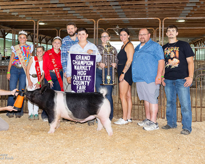 GRAND CHAMPION MARKET HOG – 2025 Fayette County Fair, OH