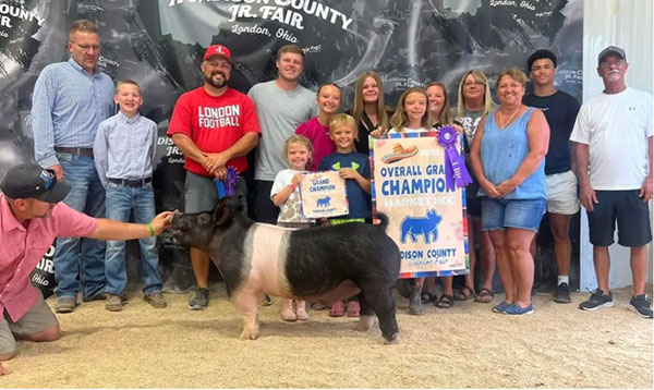 GRAND CHAMPION OVERALL MARKET HOG, 2025 Madison County Fair, OH