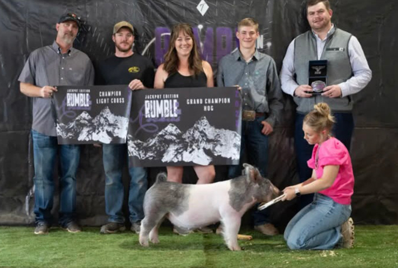 GRAND CHAMPION DAY 2, RESERVE GRAND DAY 1, 2025 Rumble In The Rockies, CO
