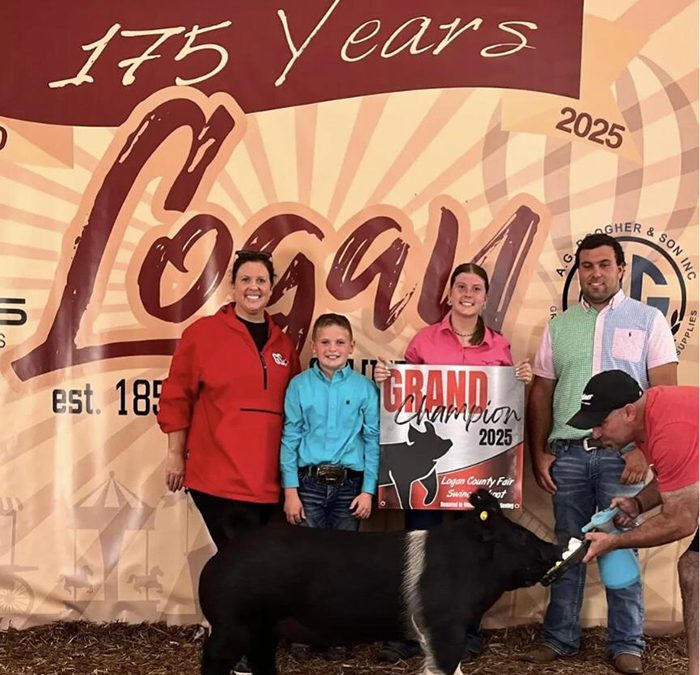 GRAND CHAMPION MARKET HOG, 2025 Logan County Fair, OH