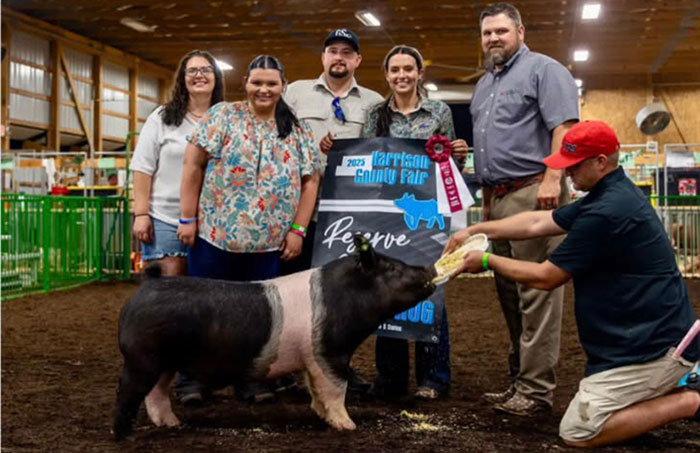 RESERVE CHAMPION OVERALL MARKET HOG, 2025 Harrison Co Fair, OH