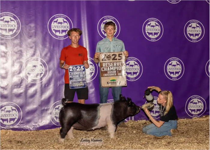 RESERVE D1 CROSS GILT, 2025 MLE