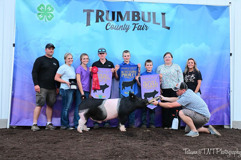 RESERVE GRAND CHAMPION OVERALL MARKET HOG, 2025 Trumbull County Fair, OH