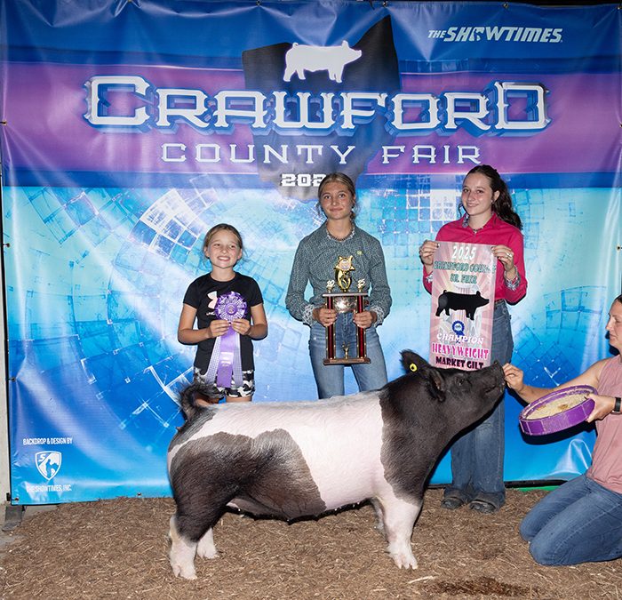 CHAMPION HEAVYWEIGHT GILT – 2025 Crawford County Jr. Fair