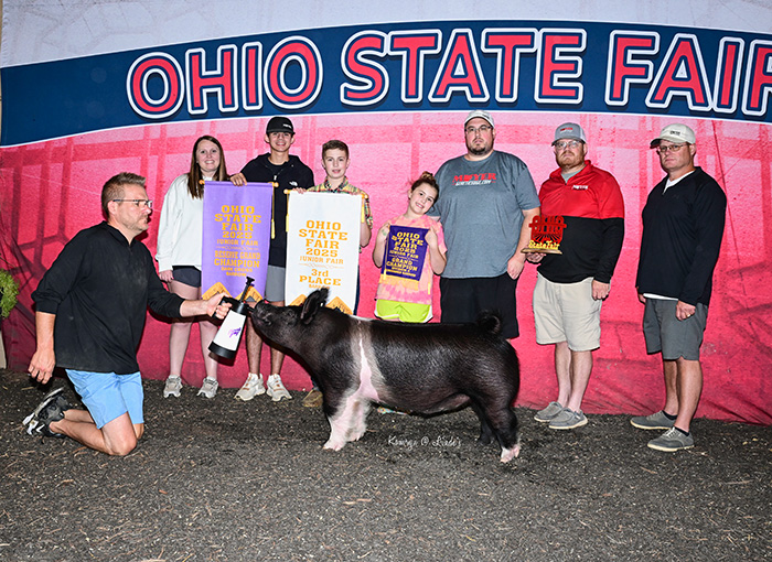 3RD OVERALL BARROW AND RESERVE DARK CROSS, 2025 Ohio State Fair Jr. Show