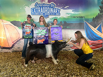 GRAND CHAMPION OVERALL, 2025 UP State Fair, MI
