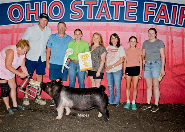 3RD OVERALL LT. WT. MARKET GILT, 2025 Ohio State Fair