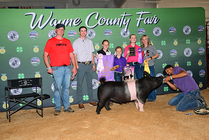 RESERVE GRAND MARKET HOG, 2025 Wayne County Fair, OH