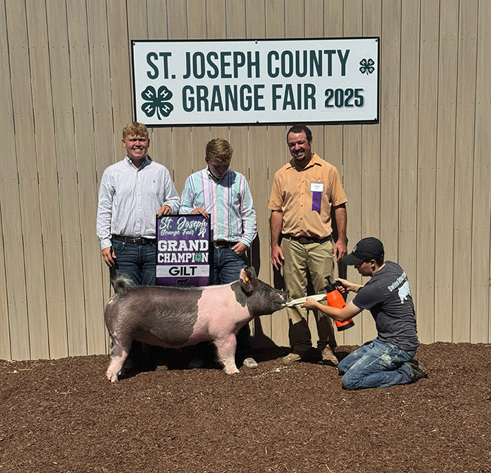 GRAND CHAMPION GILT, 2025 St Joseph County, MI