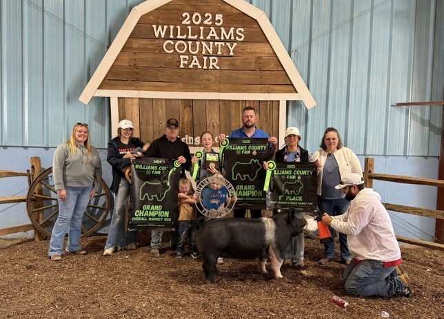 GRAND CHAMPION MARKET HOG, 2025 Williams County Fair, OH