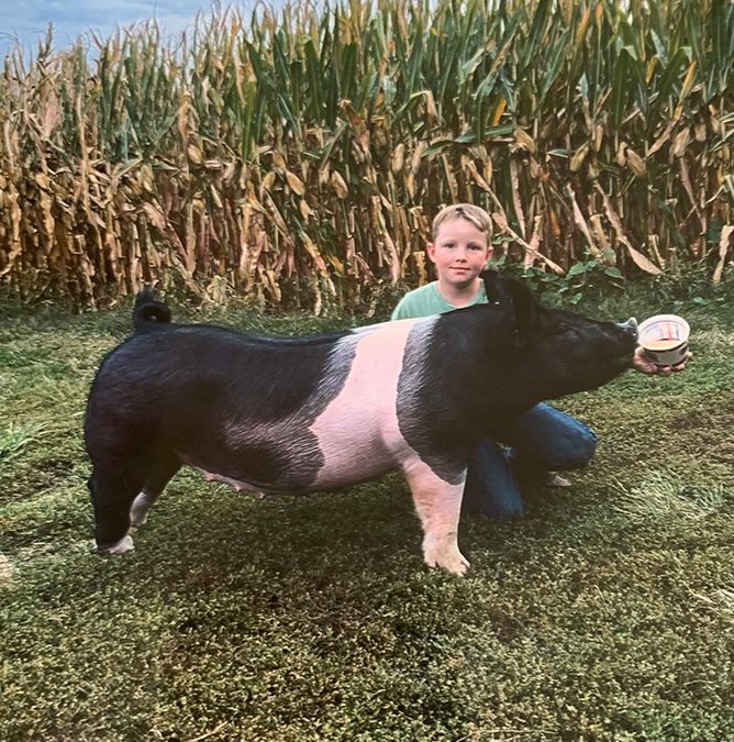 CHAMPION HOMEBRED BORN AND BRED, 2025 Coshocton County Fair