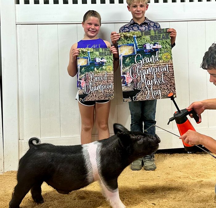 GRAND CHAMPION MARKET HOG, 2025 Yield Break Jackpot Show, IN
