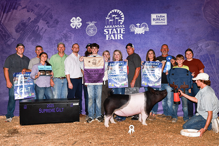 GRAND CHAMPION SUPREME AND COMMERCIAL GILT,  2025 Arkansas State Fair