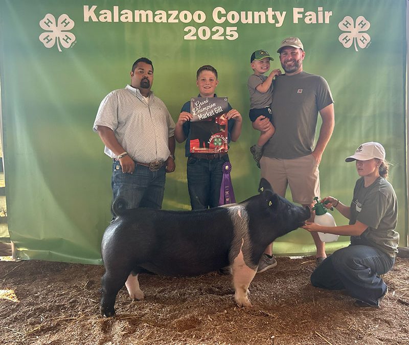 OVERALL GRAND GILT, 2025 Kalamazoo County Fair, MI