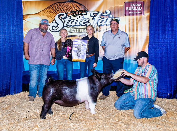 RESERVE CHAMPION COMMERCIAL GILT, 2025 North Carolina State Fair