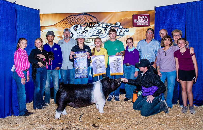 RESERVE GRAND CHAMPION OVERALL BARROW,  2025 North Carolina State Fair