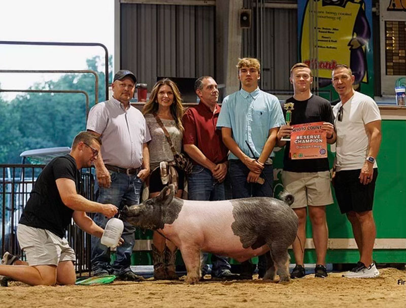 RESERVE GRAND CHAMPION D1, 2025 Scioto County Fair, OH