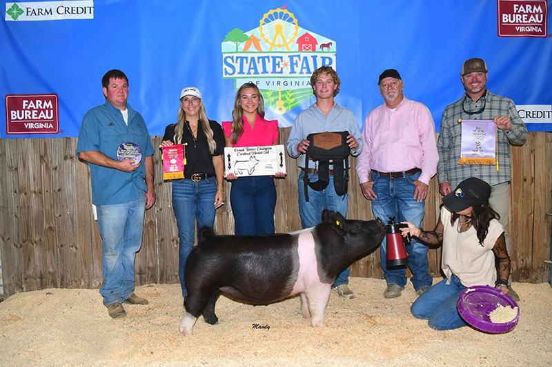 RESERVE GRAND CHAMPION MARKET GILT, 2025 Virginia State Fair
