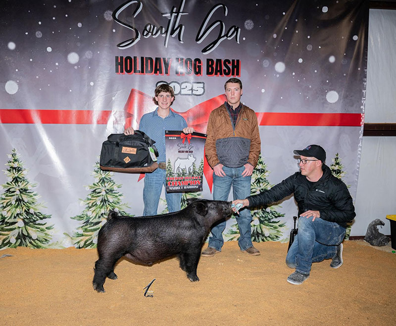 4TH OVERALL MARKET BARROW – 2025 South Georgia Holiday Hog Bash, GA