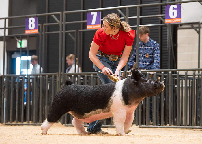 CROSS CLASS 2 WINNER – 2026 National Western Denver