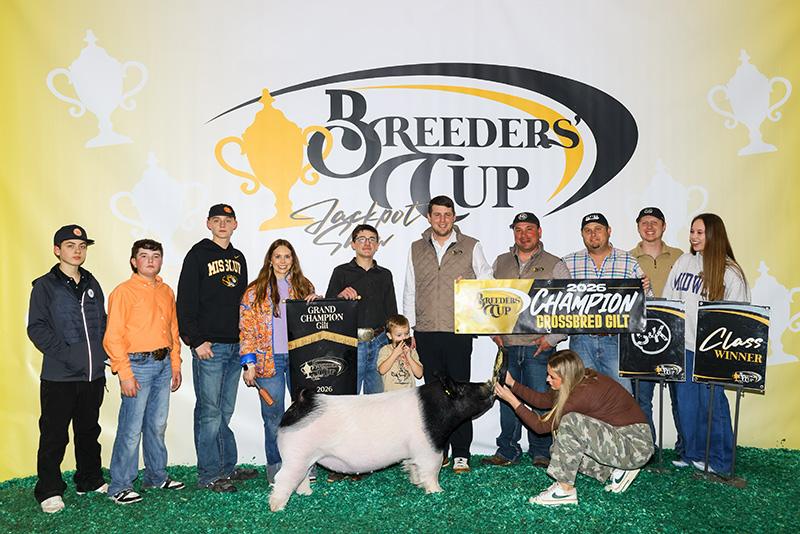 GRAND CHAMPION OVERALL GILT – 2026 Breeders Cup, IN