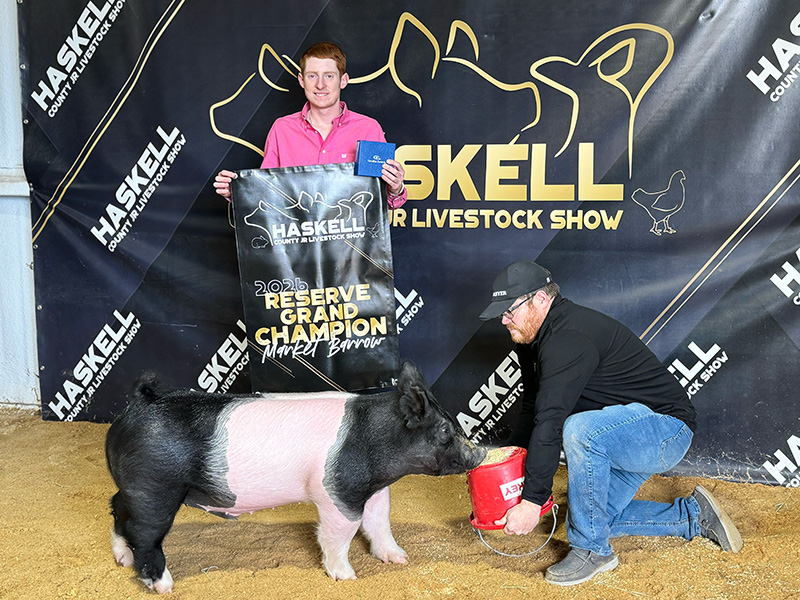 RESERVE CHAMPION OVERALL MARKET HOG – 2026 Haskell County Livestock Show, TX