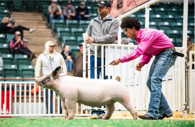 3RD OVERALL DARK CROSS GILT- 2026 GJLF EXPO, GA