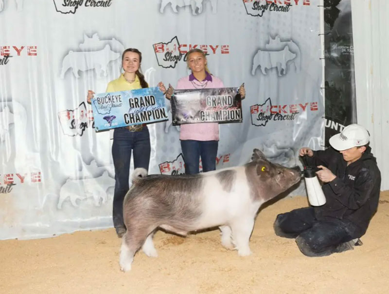 CHAMPION LT CROSS BARROW SAT AND SUN  – 2026 Buckeye Show Circuit #2, OH