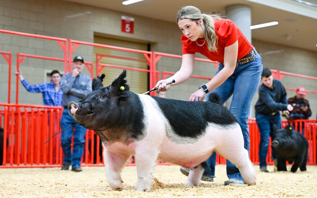 CLASS WINNER – 2026 Fort Worth Stock Show, TX
