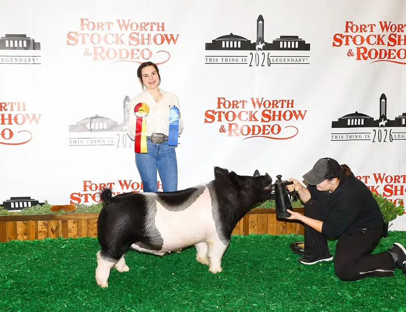 RESERVE D3 CROSS BARROW – 2026 Fort Worth Stock Show