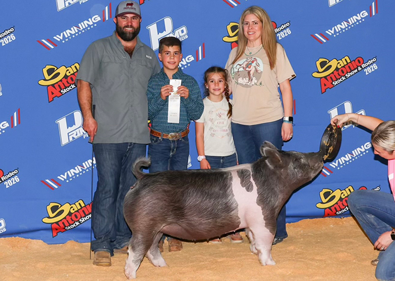 3RD PLACE CLASS 11 – 2026 San Antonio Commercial Gilt Show