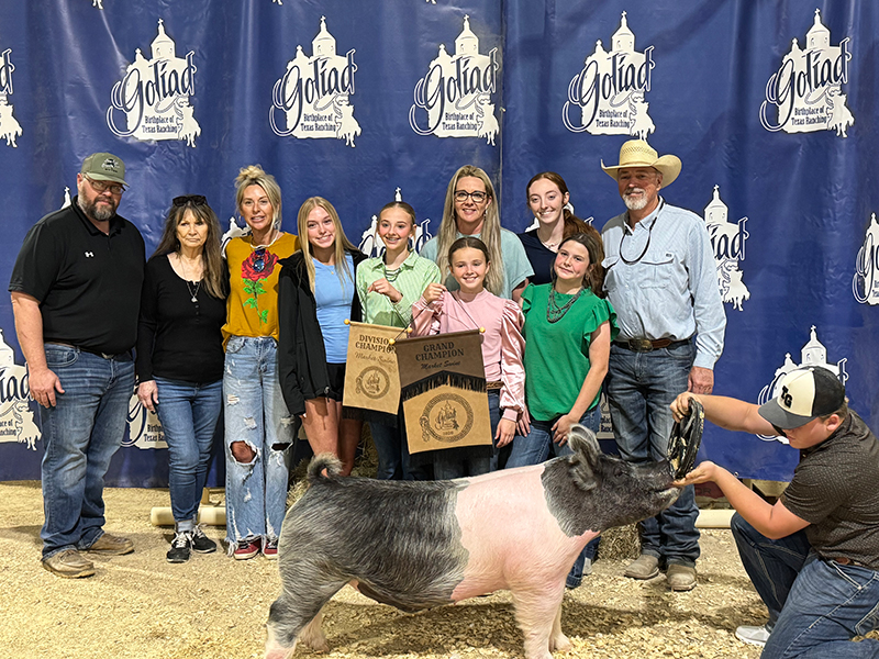 GRAND CHAMPION OVERALL – 2026 Goliad County – TX