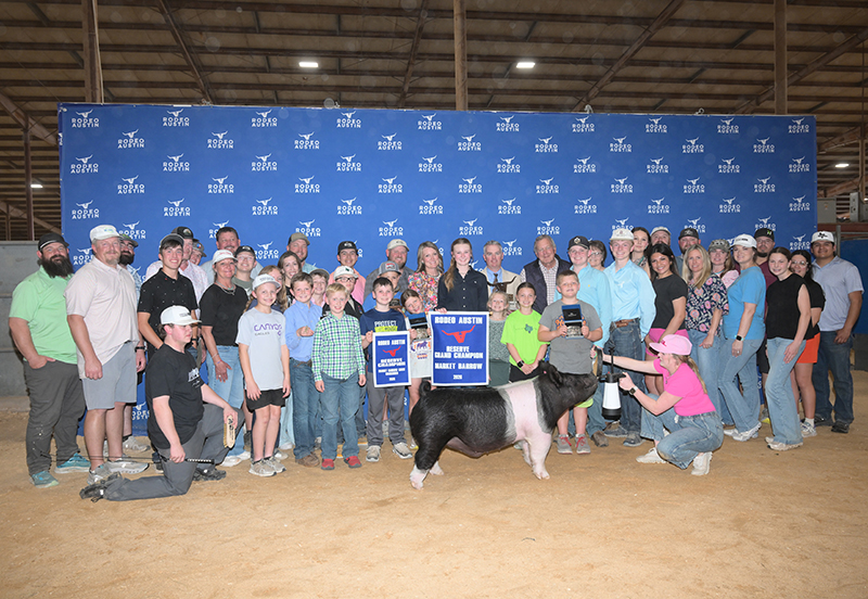 RESERVE GRAND CHAMPION OVERALL – 2026 Rodeo Austin Stock Show