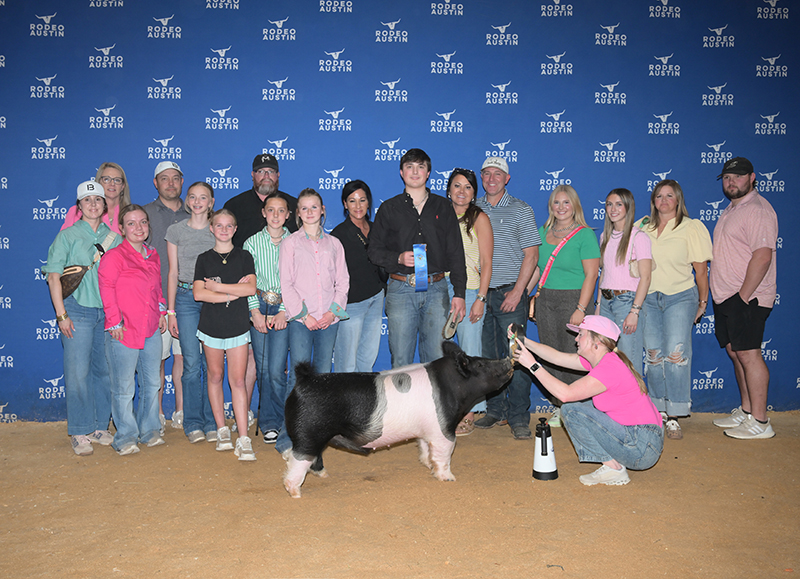 CLASS WINNING CROSSBRED BARROW  – 2026 Rodeo Austin Stock Show