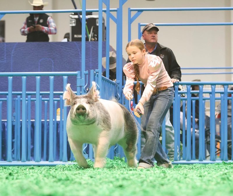 SALE MAKER – 2026 Houston Livestock Show