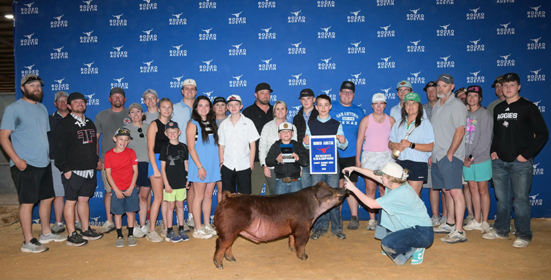RESERVE GRAND CHAMPION DUROC – 2026 Rodeo Austin Stock Show