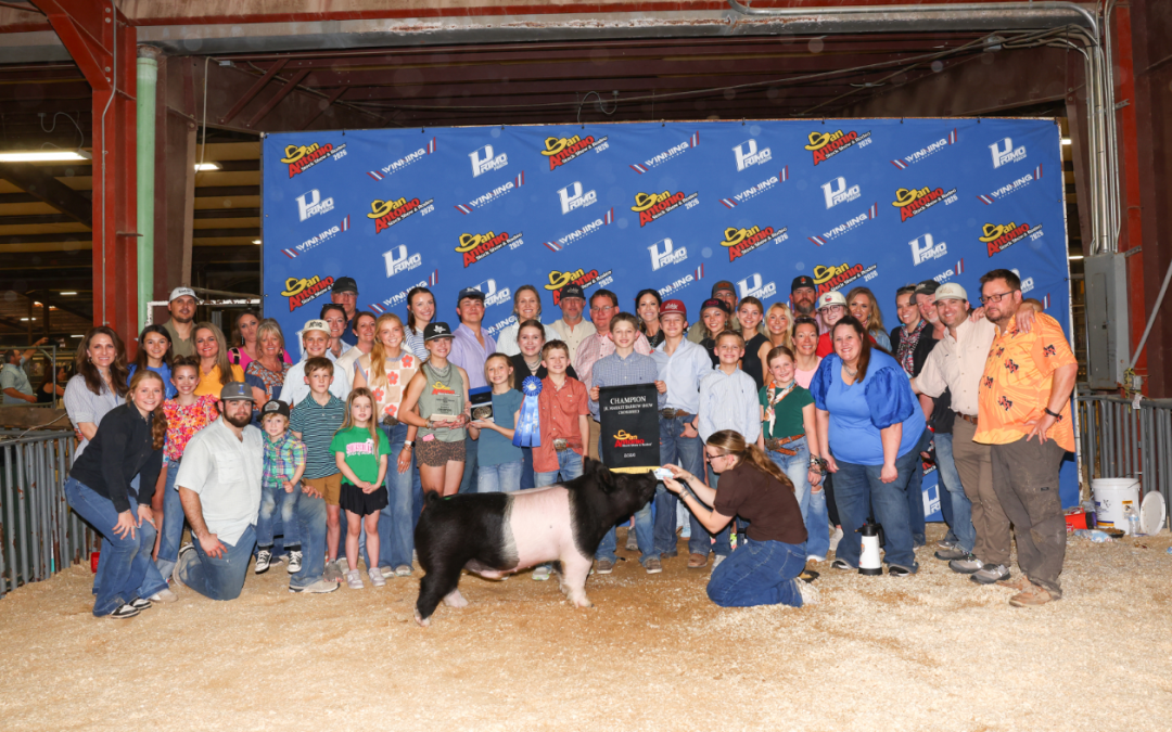 GRAND CHAMPION OTHER CROSS – 2026 San Antonio Stock Show