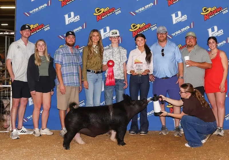 RESERVE HEAVY OTHER CROSSBRED – 2026 San Antonio Stock Show