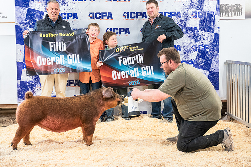 4TH AND 5TH OVERALL, CHAMPION DUROC GILT – 2026 007 Skyfall and Another Road, IL