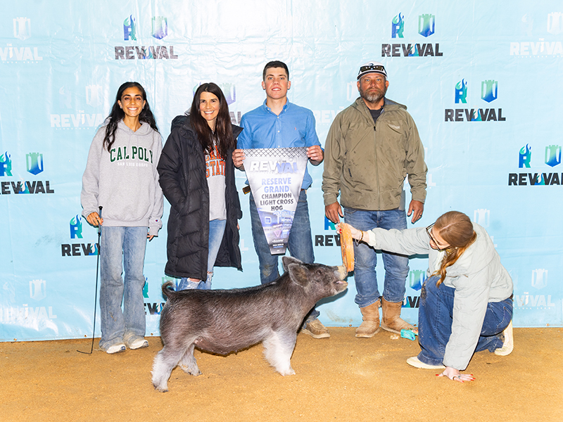 RESERVE LT CROSS – 2026 Revival Livestock Show, CA