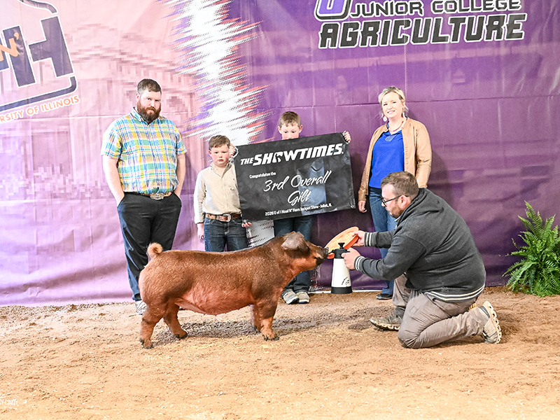 3RD OVERALL, CHAMPION DUROC GILT – 2026 UIUC Ring, IL