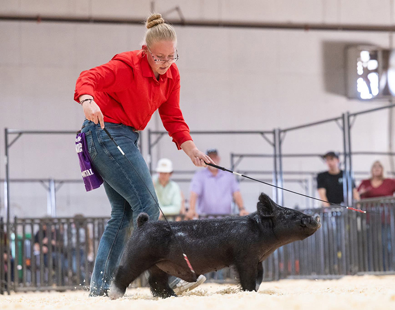 RESERVE LIGHTWEIGHT MARKET HOG – 2026 Eastern Oregon Jackpot